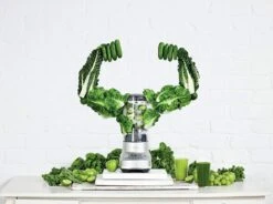 Breville The Fresh And Furious™ Blender -Home Kitchen image 1050