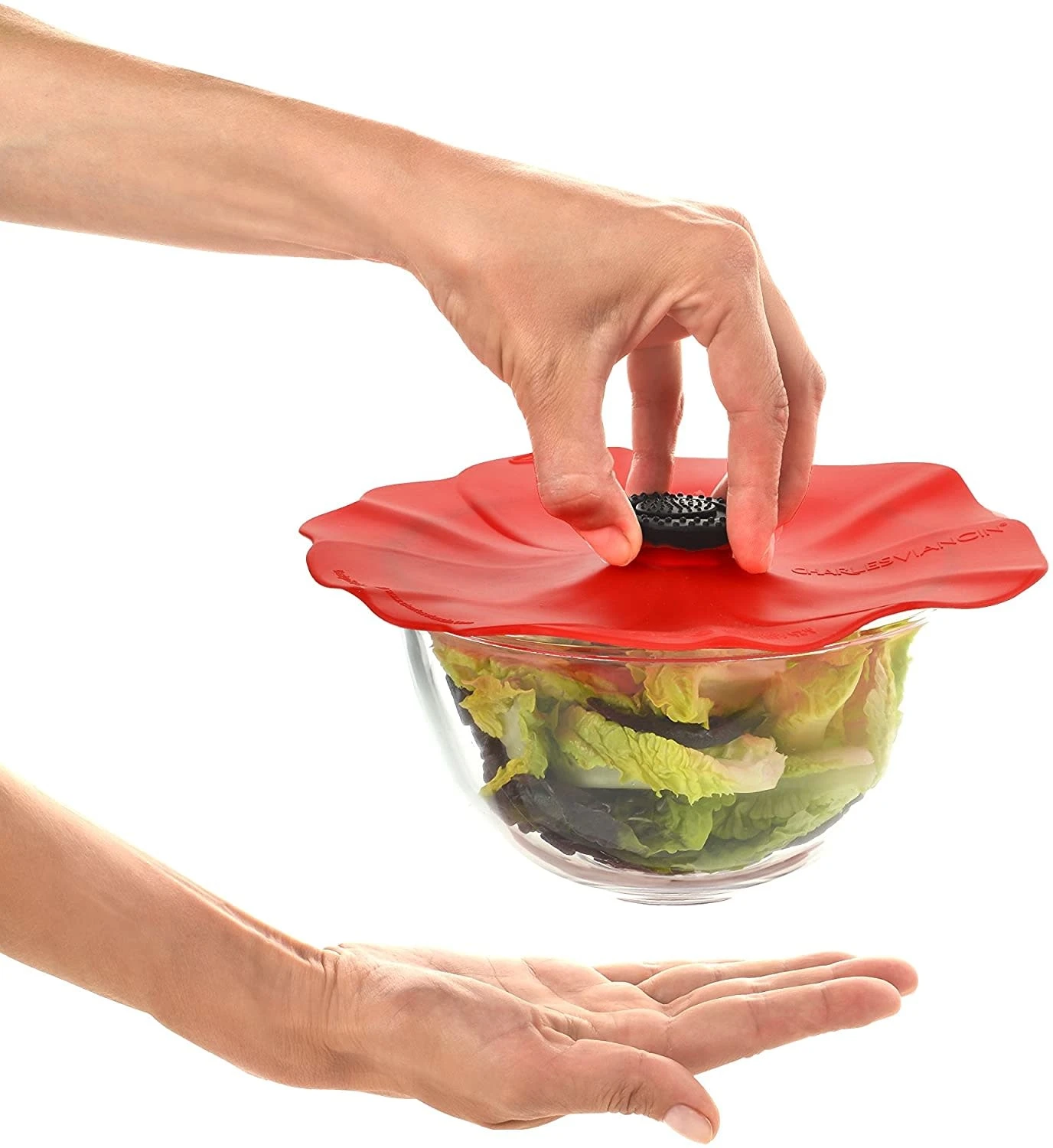 Charles Viancin Poppy Lid (Red) Gift-Box - Set/4 (11'', 9'', 6'', 4'') 7 Charles Viancin Poppy Lid (Red) Gift-Box - Set/4 (11'', 9'', 6'', 4'') - Image 5