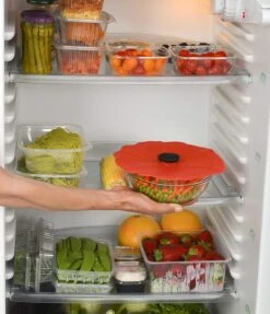 Charles Viancin Poppy Lid (Red) Gift-Box - Set/4 (11'', 9'', 6'', 4'') 17 Charles Viancin Poppy Lid (Red) Gift-Box - Set/4 (11'', 9'', 6'', 4'') -Home Kitchen image 2496